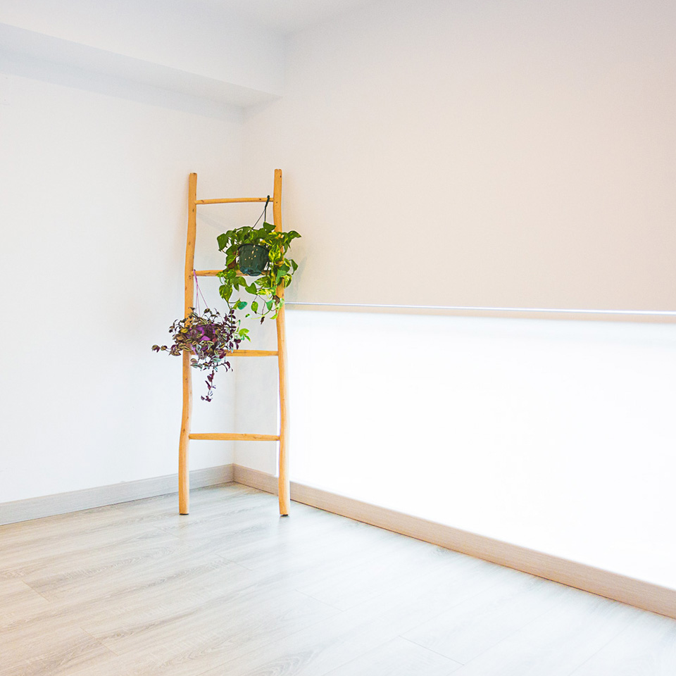 Yellow wooden staircase with plants in a corner of a white room