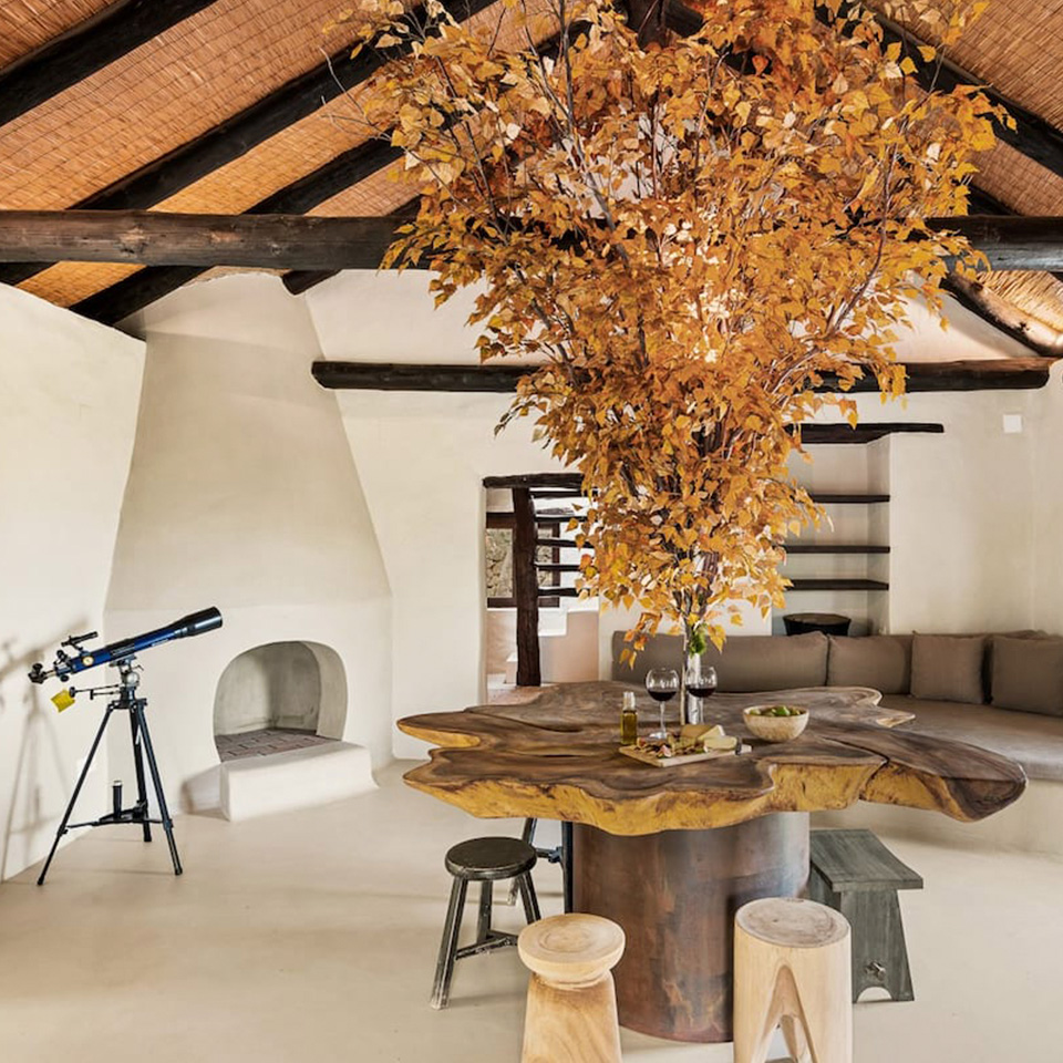 Living room with wooden table with tree in the middle and fireplace